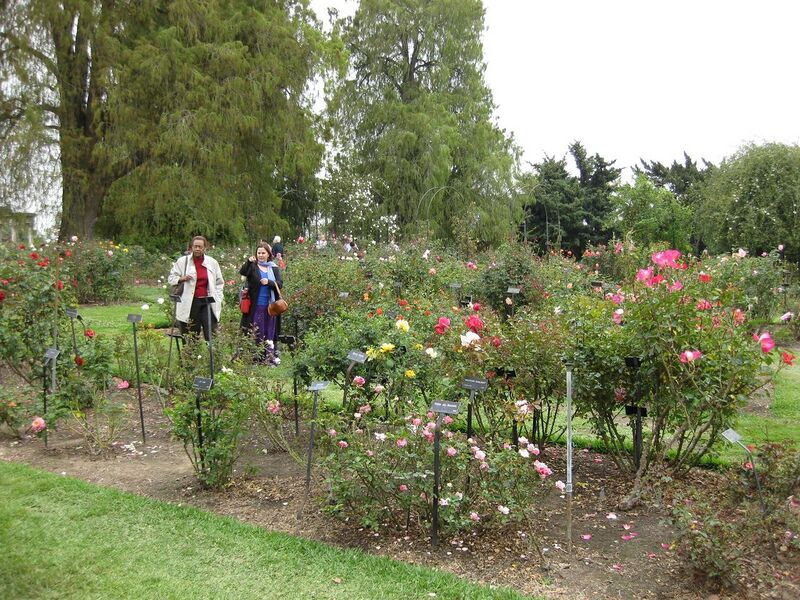 File:1280px-IMG 5361 hunt0904.jpg