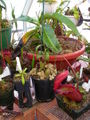 Thumbnail for version as of 08:19, 6 May 2007