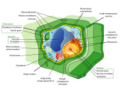 Thumbnail for version as of 09:43, 29 April 2025