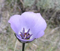 Thumbnail for version as of 21:16, 9 October 2008