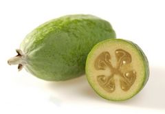 Pineapple Guava Feijoa sellowiana fruit