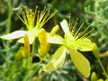 Thumbnail for version as of 09:09, 29 April 2025