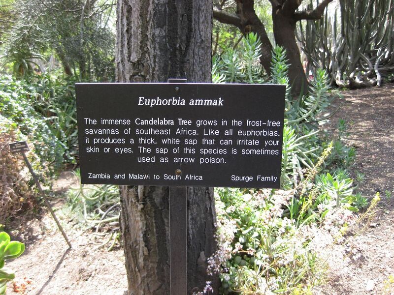 File:1280px-IMG 4356 hunt0904.jpg