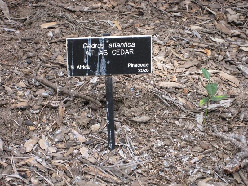 File:1280px-IMG 4605 hunt0904.jpg