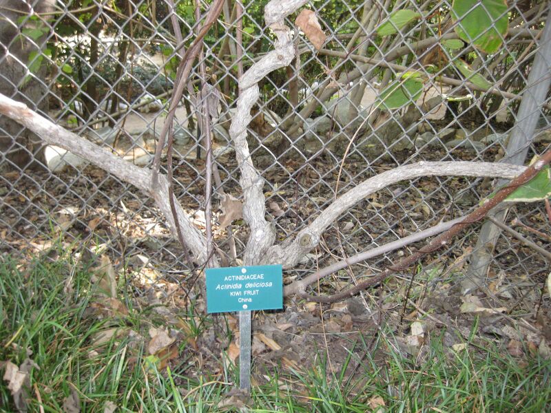File:66kudprciqoo2nx3oongbh4xft9skqo.jpg