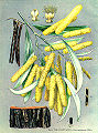 Thumbnail for version as of 09:12, 29 April 2025