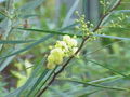 Thumbnail for version as of 09:12, 29 April 2025