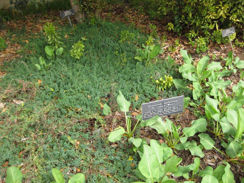 File:IMG 5231 hunt0904.jpg