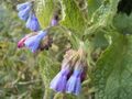 Thumbnail for version as of 09:16, 29 April 2025