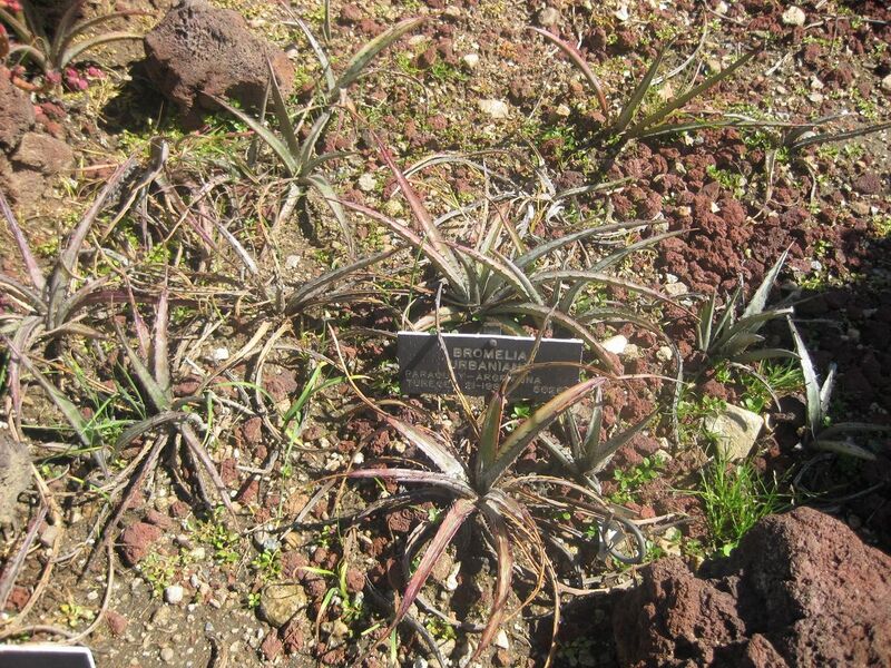 File:1280px-IMG 2444 hunt0903.jpg