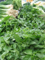 Thumbnail for version as of 07:21, 26 September 2007