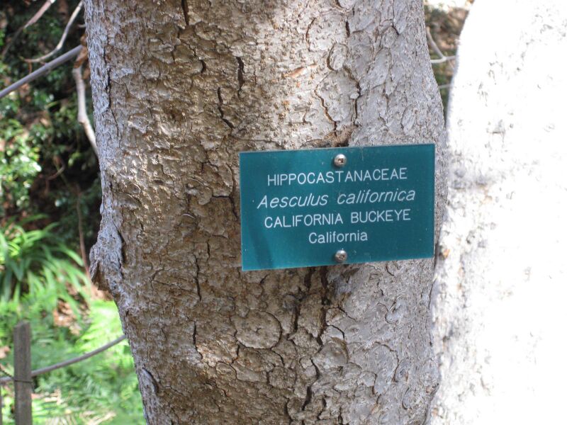 File:0vtzznrt0fq6bdkee56m4cjb1dtlfjk.jpg