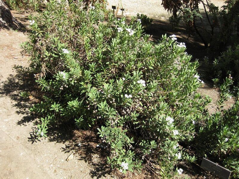 File:1280px-IMG 1895 hunt09oct.jpg