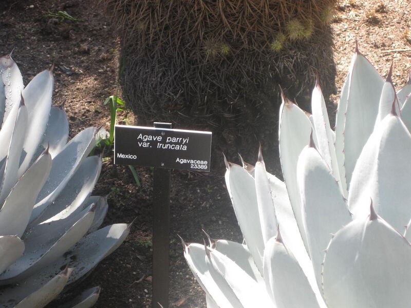 File:1280px-IMG 2221 hunt0903.jpg