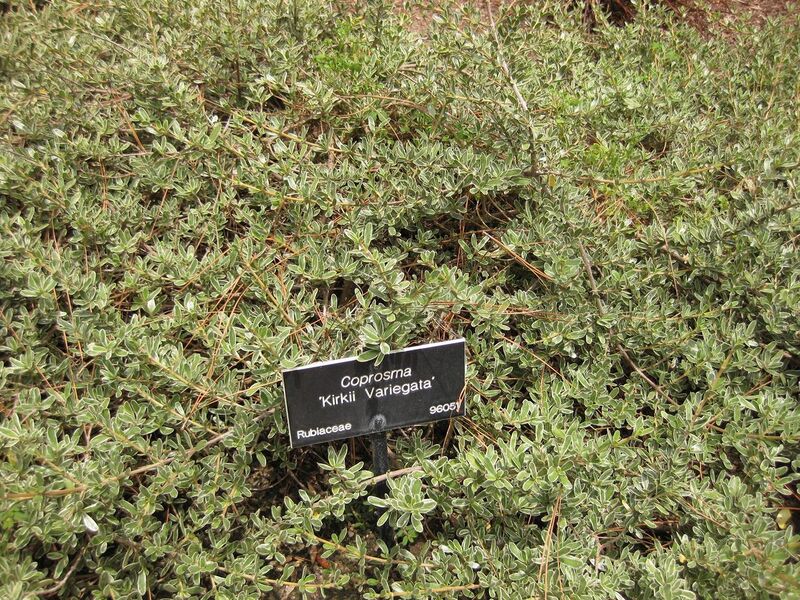 File:1280px-IMG 7332 hunt09jun.jpg