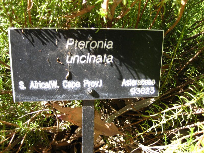 File:IMG 2076 hunt09oct.jpg