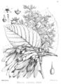Thumbnail for version as of 09:34, 9 October 2007