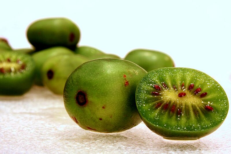 File:1024px-Actinidia-arguta.jpg