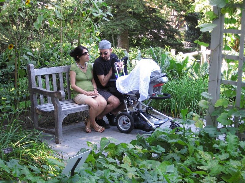 File:1024px-IMG 0370 nybg09.jpg