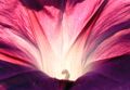 Thumbnail for version as of 08:55, 29 April 2025