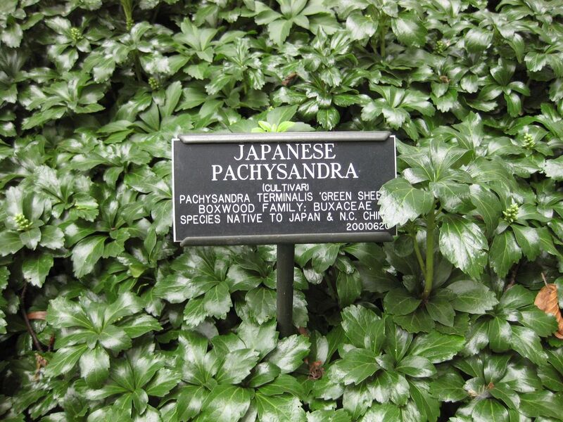 File:1280px-IMG 1411 bbg09.jpg