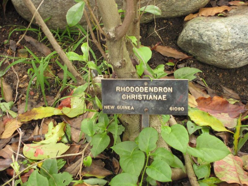 File:1280px-IMG 7512 hunt09jun.jpg