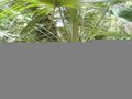 Thumbnail for version as of 10:34, 29 April 2025