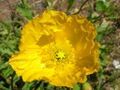 Thumbnail for version as of 09:28, 29 April 2025