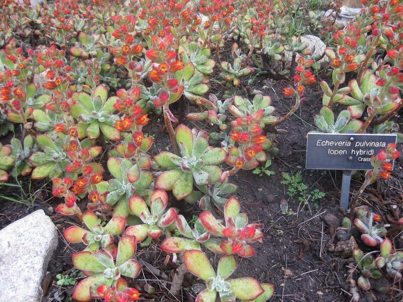 File:1024px-IMG 2260 hunt0903.jpg