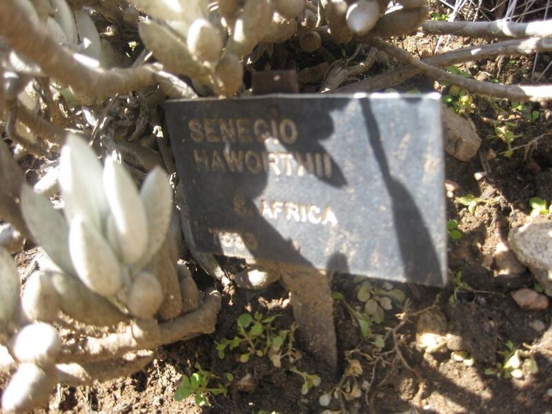 File:1024px-IMG 2316 hunt0903.jpg