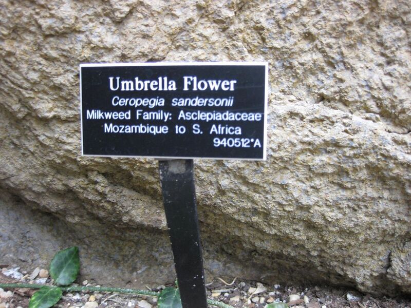 File:1280px-IMG 1245 bbg09.jpg