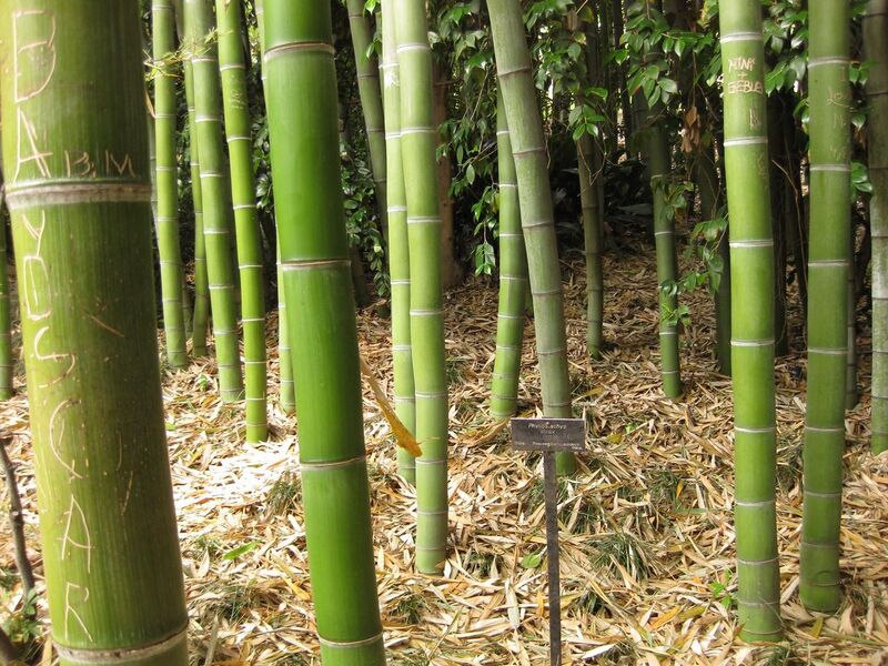 File:1280px-IMG 7231 hunt09jun.jpg