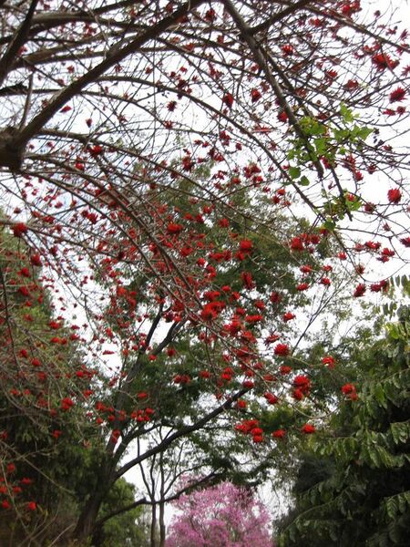 File:576px-IMG 4993 hunt0904.jpg