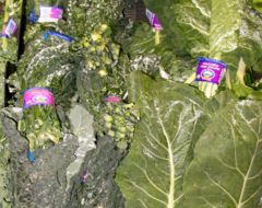 Collard greens on right
